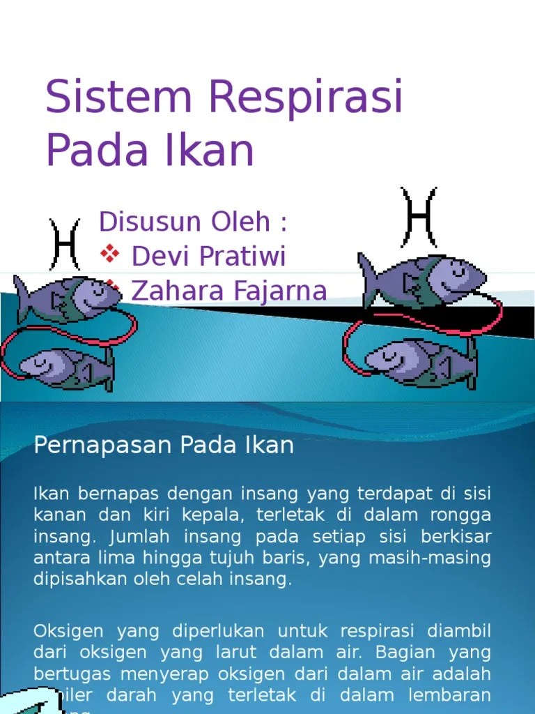 Sistem Respirasi Ikan | PDF