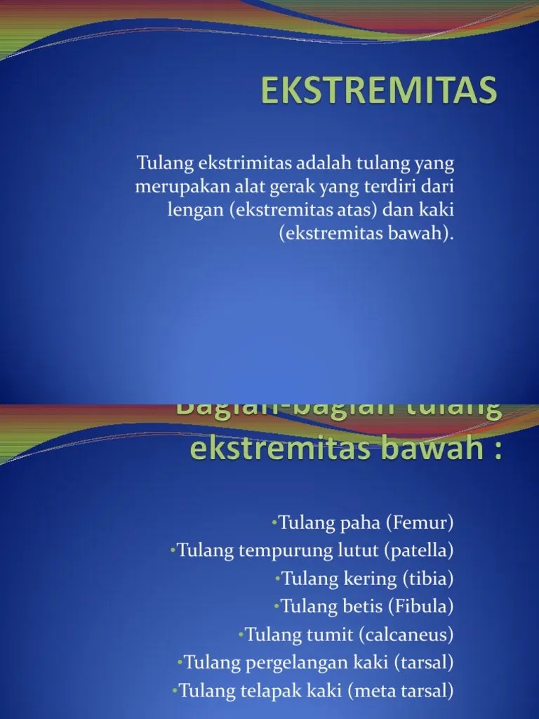 EKSTREMITAS | PDF
