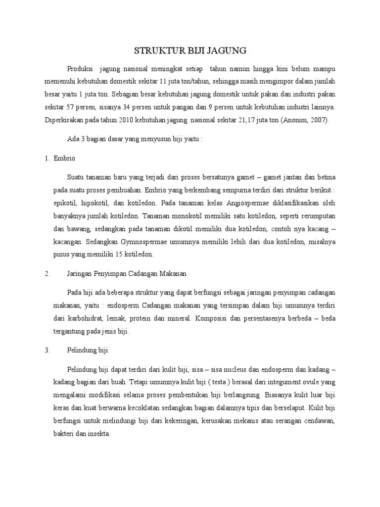 Secara botanis buah normal adalah ovary yang sudah matang (mature ovary), sedangkan biji adalah ovule yang sudah . Makalah Struktur Biji Jagung Pdf