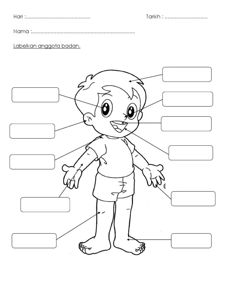 Unduh ilustrasi vektor mencocokkan tubuh manusia dengan objek lembar kerja untuk pendidikan ini sekarang. Labelkan Anggota Badan Pdf