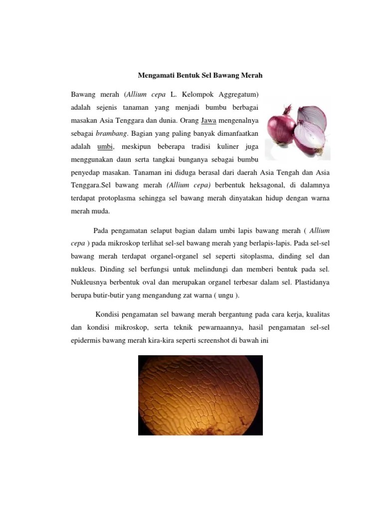 (anatomi tumbuhan) serta cara penggunaannya. Pengamatn Sel Pdf