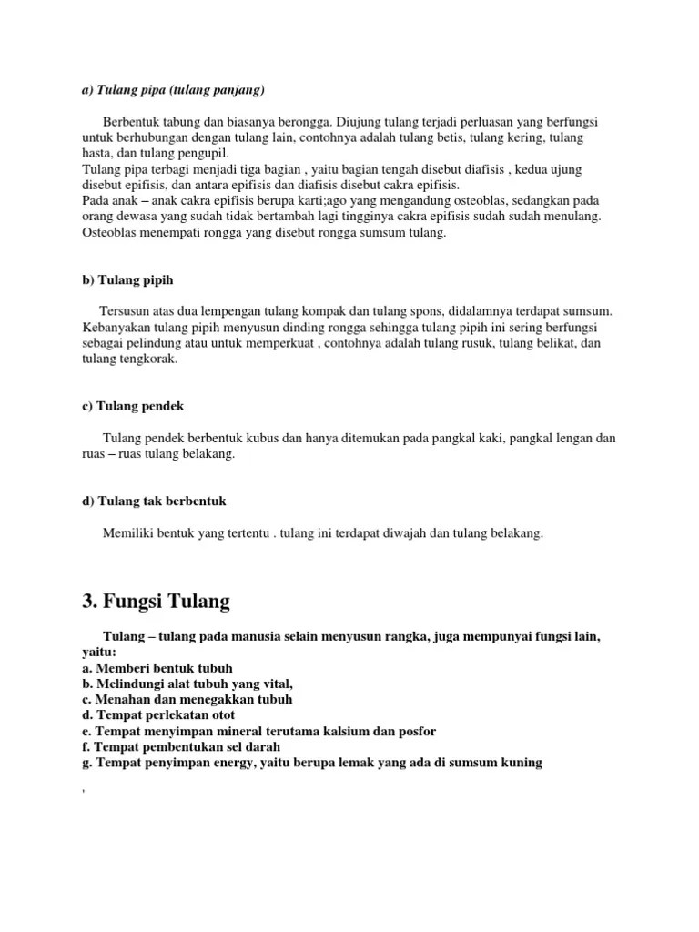 Anatomi Manusia Ss | PDF