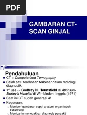 Namun pemeriksaan ini tidak bisa dikerjakan pada pasien yang memiliki gangguan fungsi ginjal. Gambaran Ct Scan Ginjal Pdf