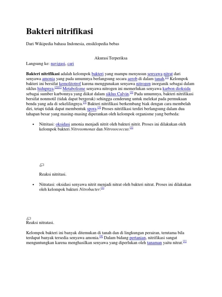 Bakteri Nitrifikasi | PDF