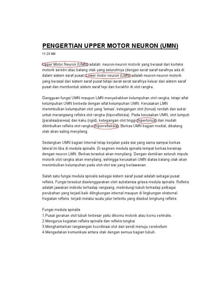 Pengertian Upper Motor Neuron | PDF