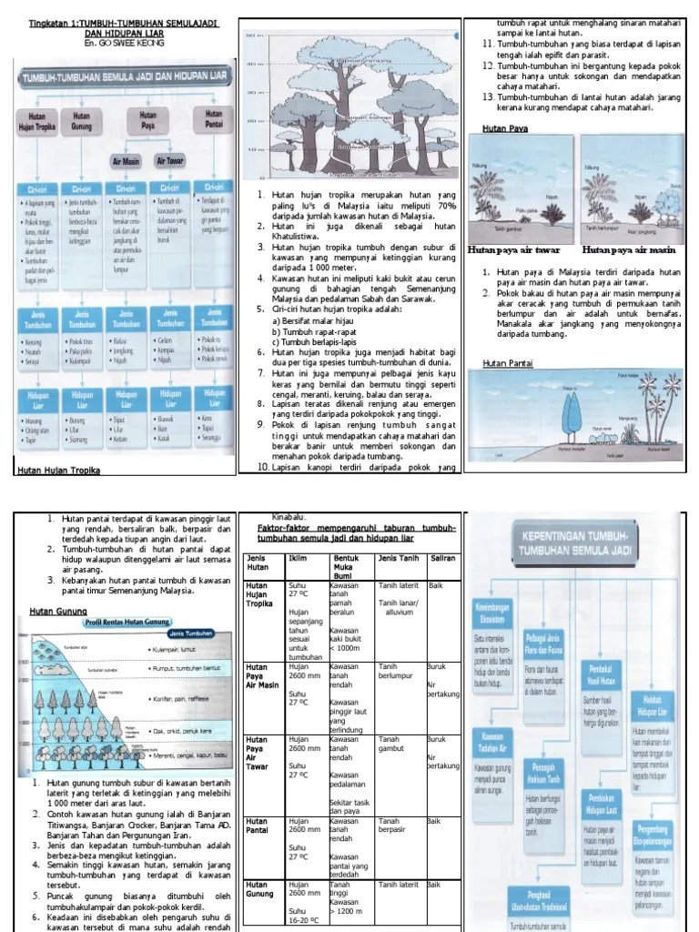 Hutan hujan tropika (hutan hujan khatulistiwa). Nota Geografi Tingkatan 1 Pdf