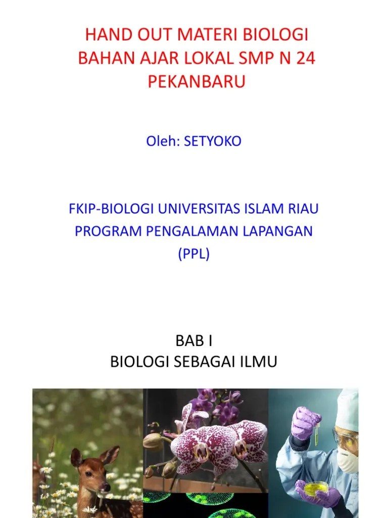 (2019).kepraktisan handout struktur populasi tumbuhan rawa | 107 kuliah ekologi tumbuhan, sedangkan objek Blog Archives Clothesmultiprogram