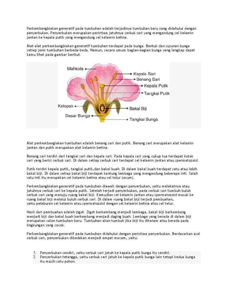 Perkembangbiakan Generatif Pada Tumbuhan Adalah Terjadinya Tumbuhan Baru  Yang Didahului Dengan Penyerbukan | PDF
