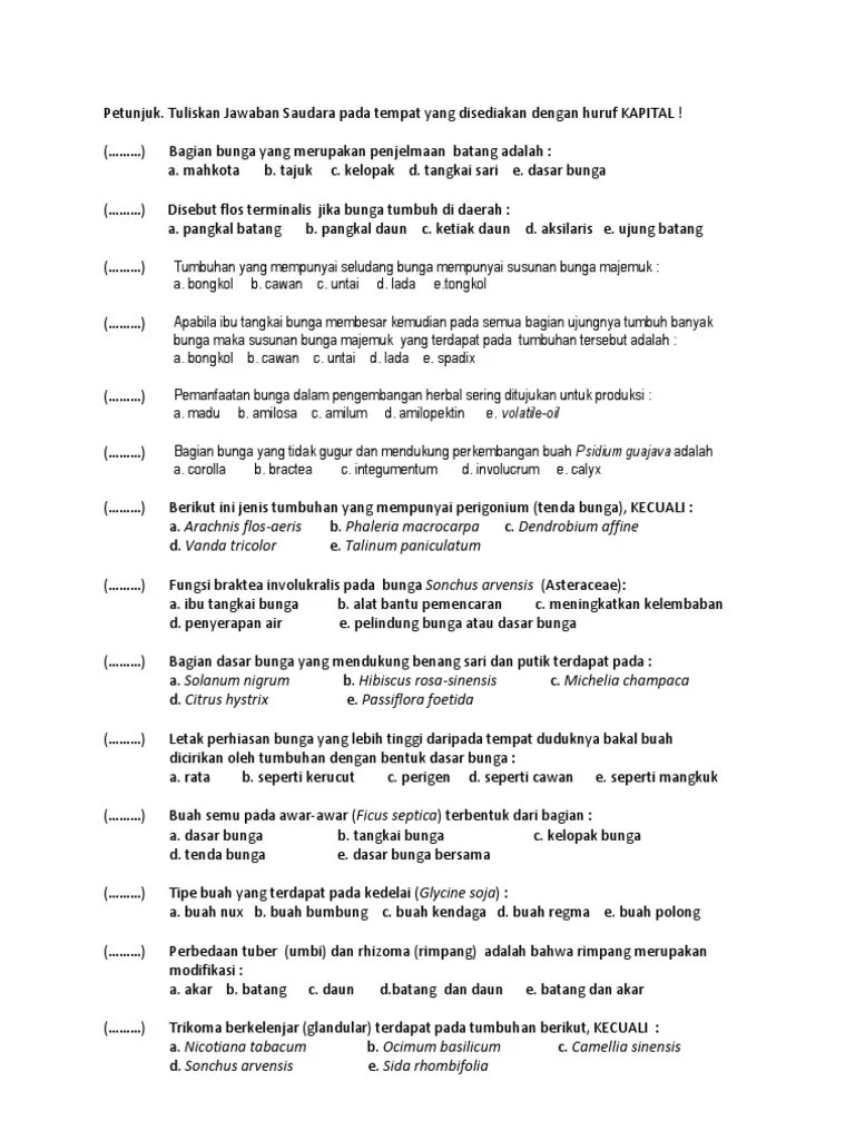 Contoh soal essay tata boga smk 08 picture