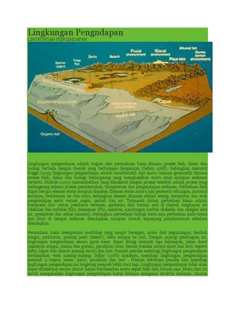 Lingkungan Pengndapan | PDF