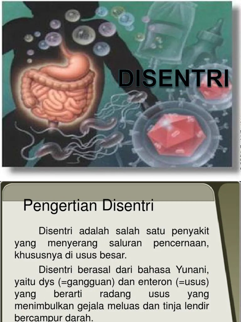 Disentri 1 | PDF
