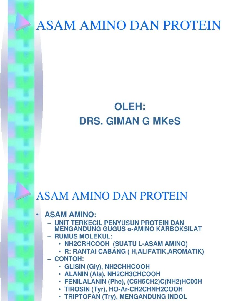 Asam Amino Dan Protein (Kimia Organ) | PDF