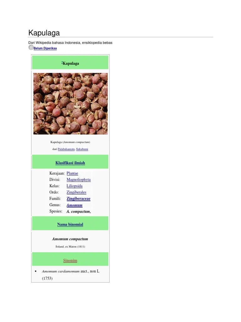 Nama Latin Kapulaga - Gambar Tanaman Obat