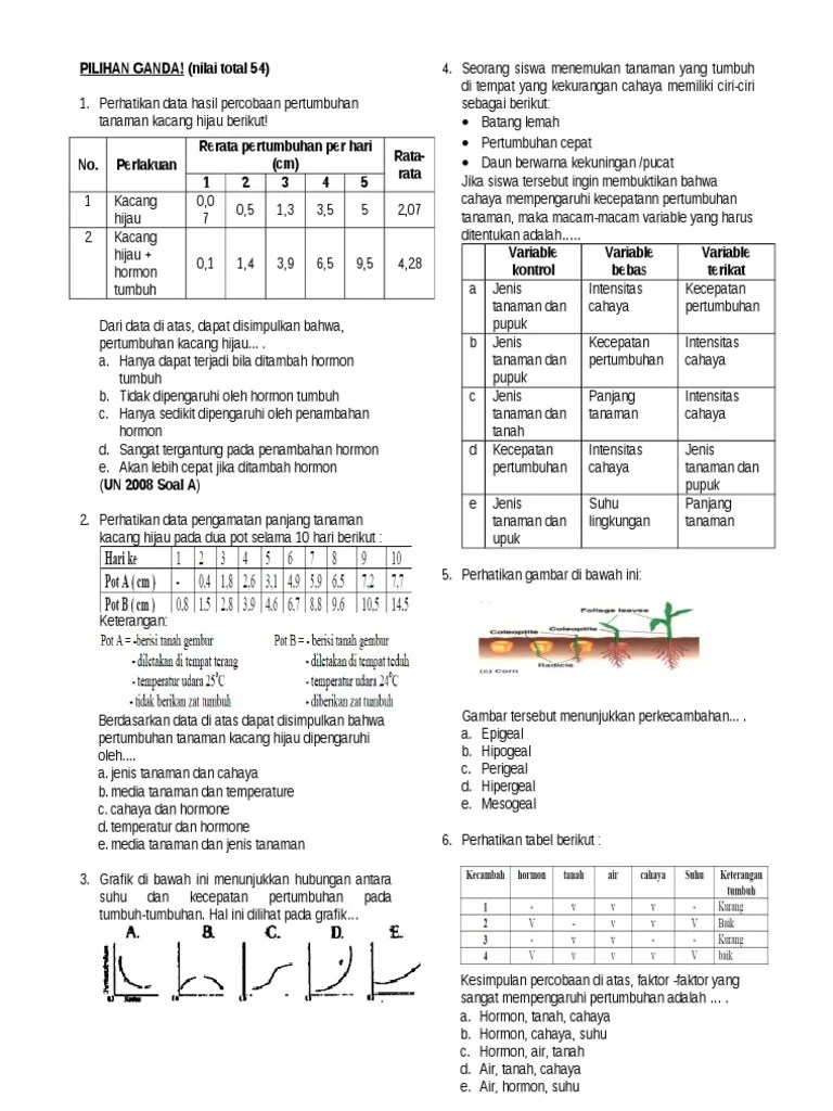 Setelah melakukan penelitian, kacang hijau yang . Kumpulan Soal Pertumbuhan Dan Perkembangan Tipe B Pdf