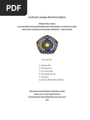 Satuan Acara Penyuluhan | PDF