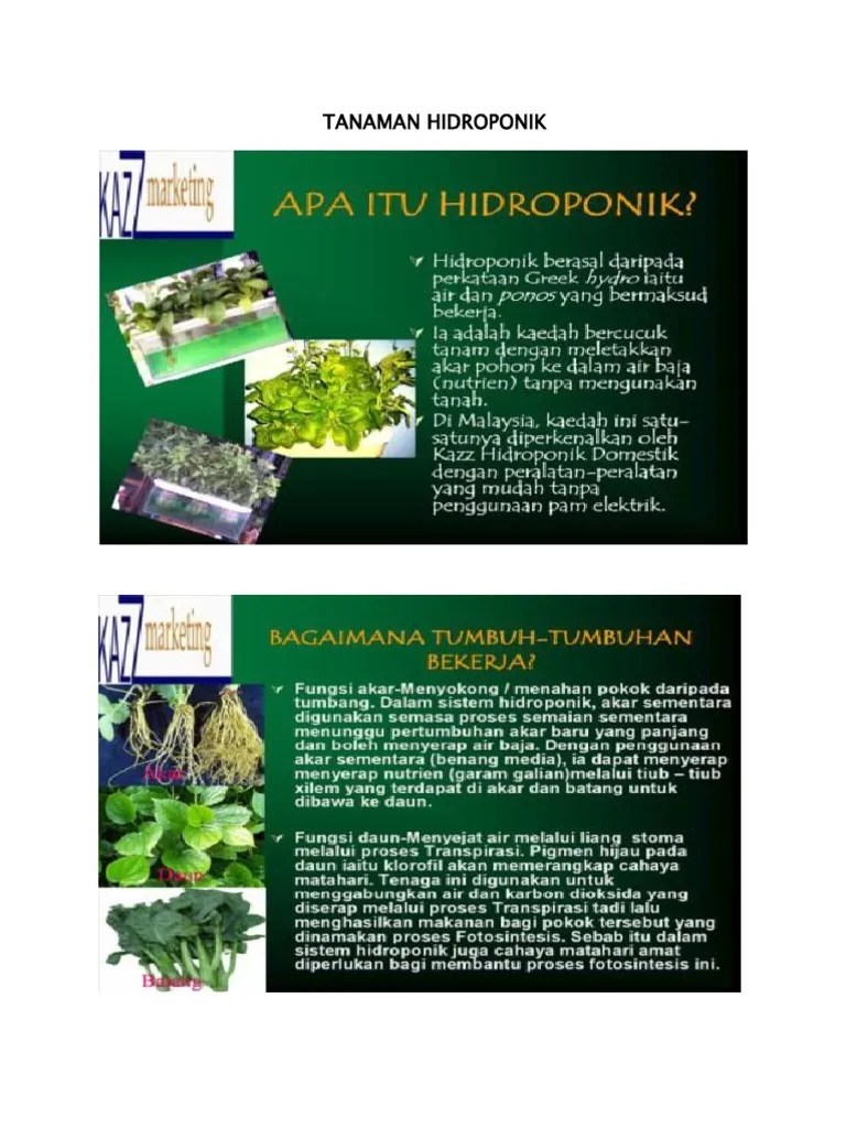 Hidroponik lebih mengandalkan air dan nutrisi yang baik untuk . Tana Man Pdf