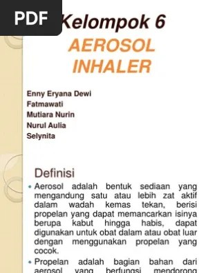 Aerosol Inhaler | PDF