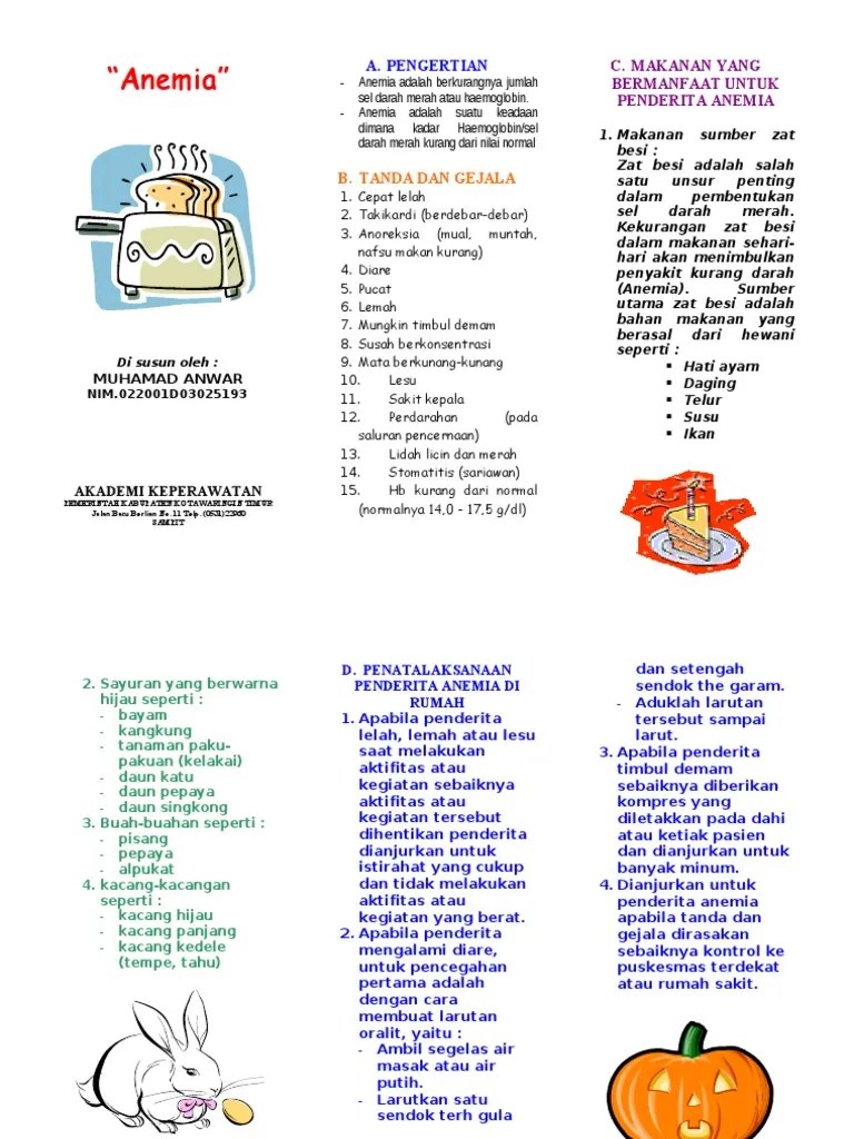 Leaflet Anemia 1 | PDF
