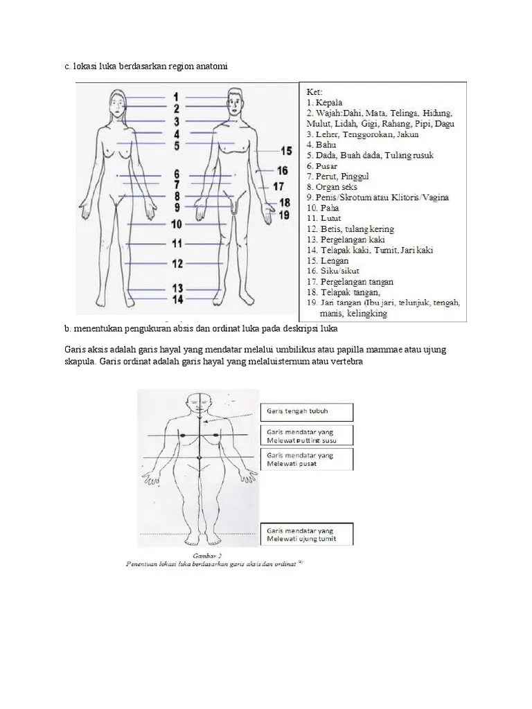 Tugas Minggu 1 Forensik Nomer 6 | PDF