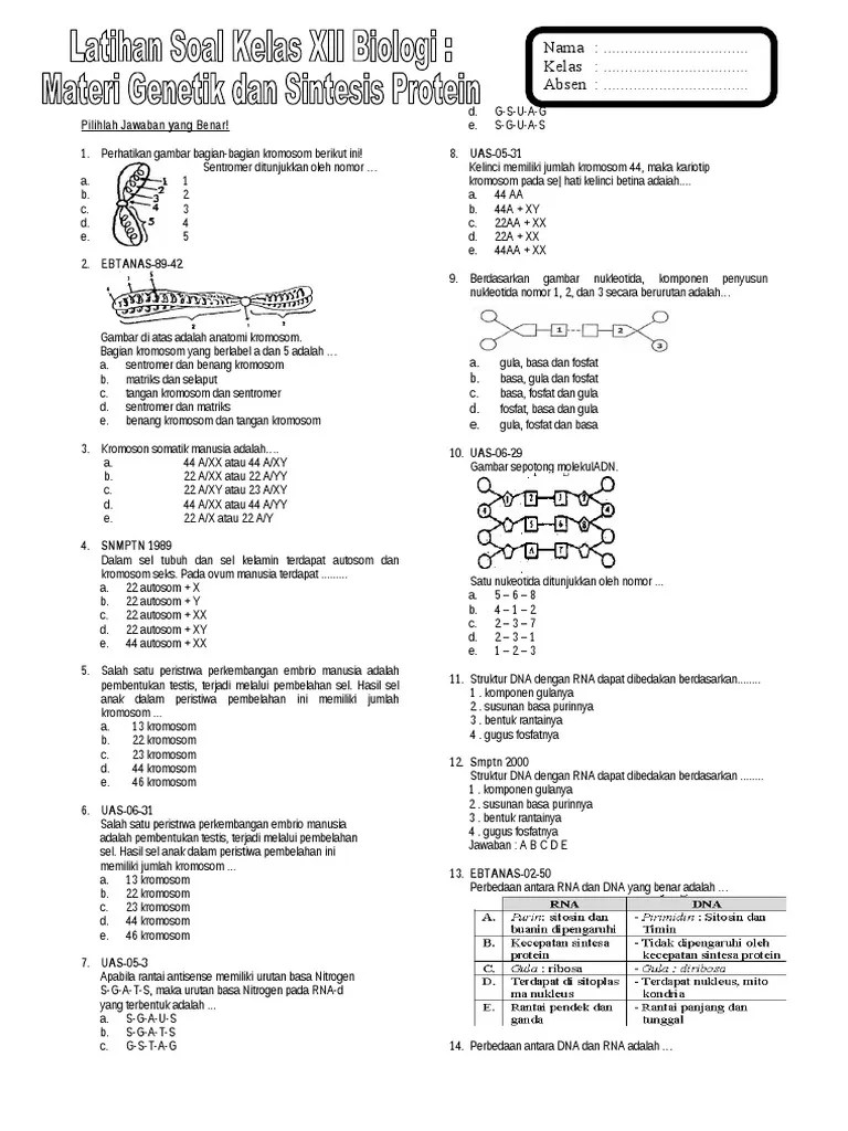 Contoh soal & pembahasan substansi genetik un biologi. Soal Sbmptn Tentang Materi Genetik Materi Soal