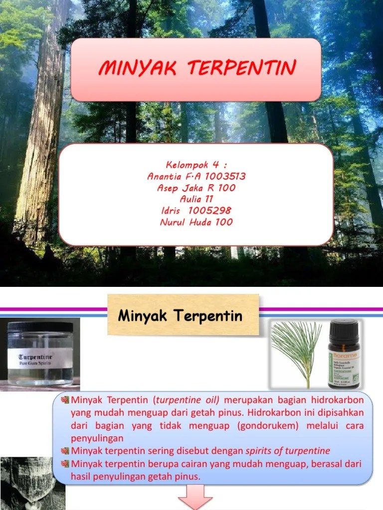 Minyak Terpentiin | PDF