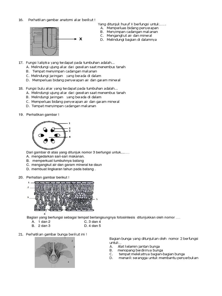 MID GNP Biologi 8-1314 | PDF