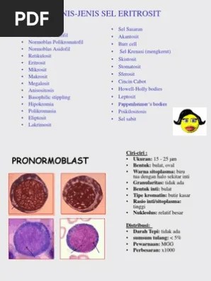 Ery H Tro Poiesis | PDF