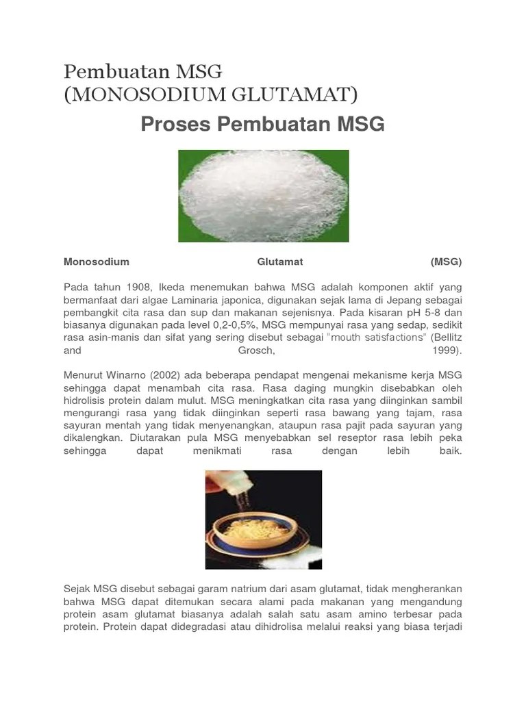 Pembuatan MSG | PDF