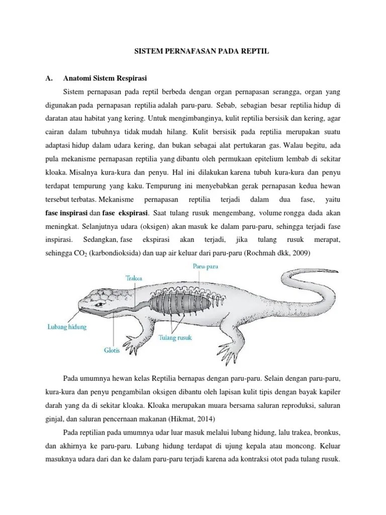 Sistem Pernafasan Pada Reptil Fix | PDF
