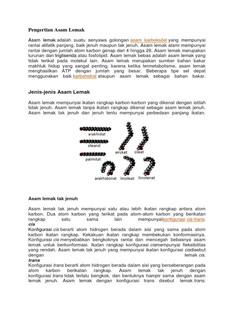 Pengertian Asam Lemak | PDF