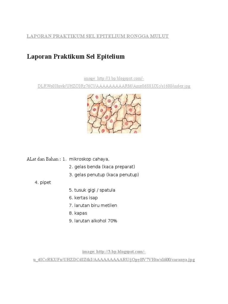 Contoh dari tumbuhan yang dapat dibuat preparat. Laporan Praktikum Sel Epitelium Rongga Mulut Pdf