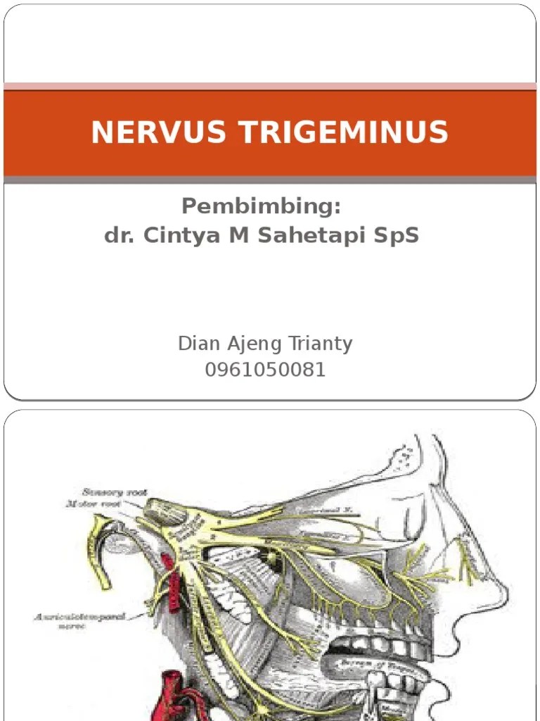 AJENG Nervus Trigeminus | PDF