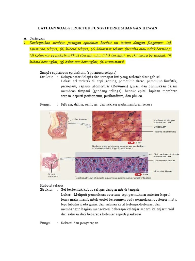 Latihan SF &amp; PH Lengkap | PDF