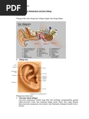 PBL SK2 Pancaindra Rizky | PDF