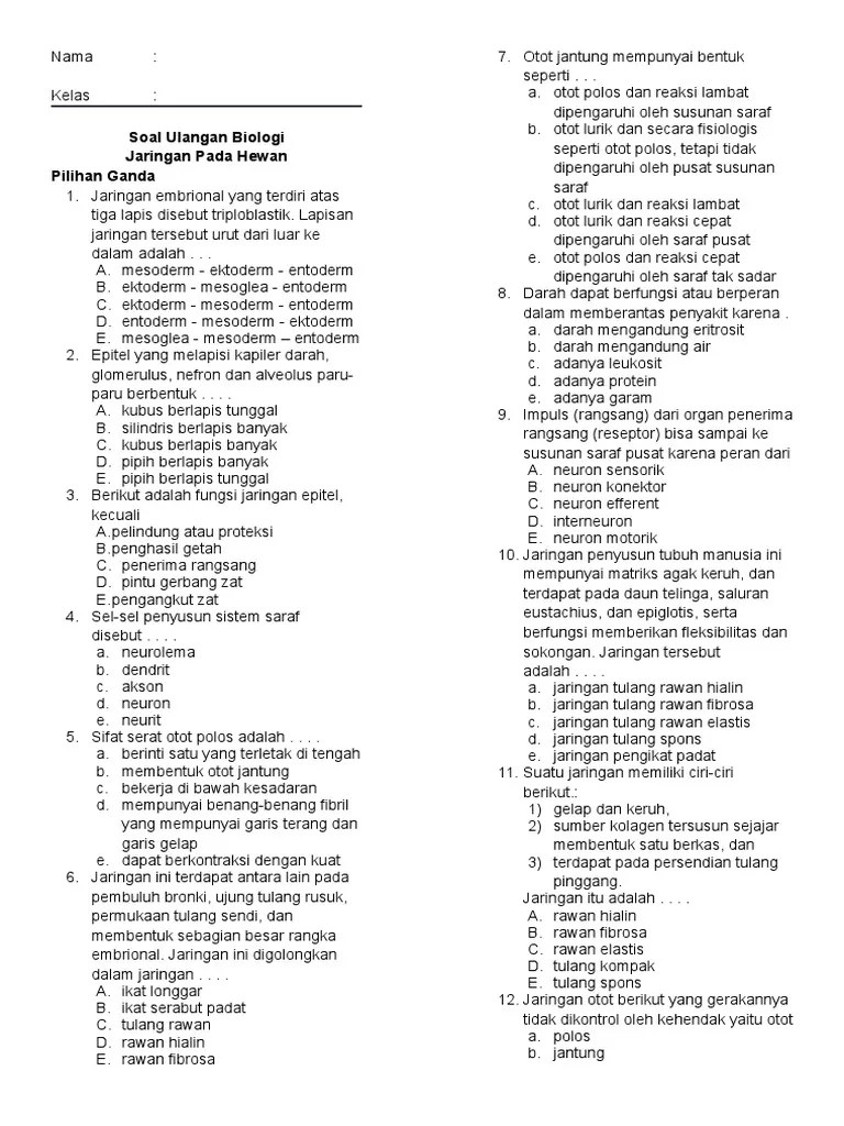 Jaringan Hewan | PDF