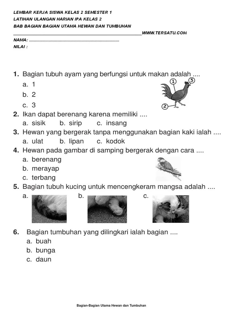 We did not find results for: Soal Soal Ipa Ktsp Kelas 2 Bab 1 Pdf