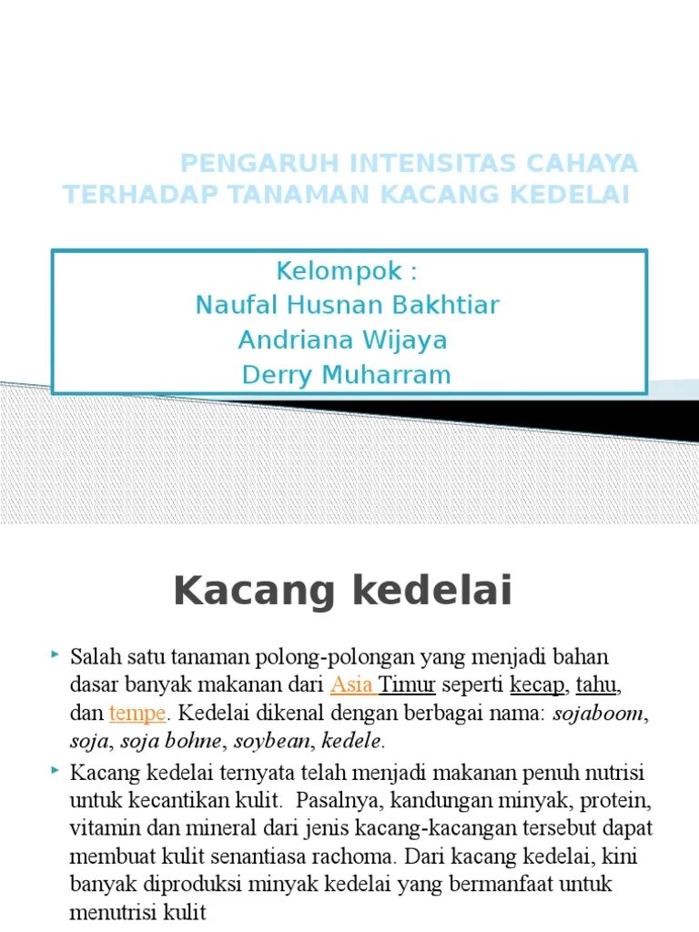 Pengaruh Intensitas Cahaya Terhadap Tanaman Kacang Kedelai | PDF