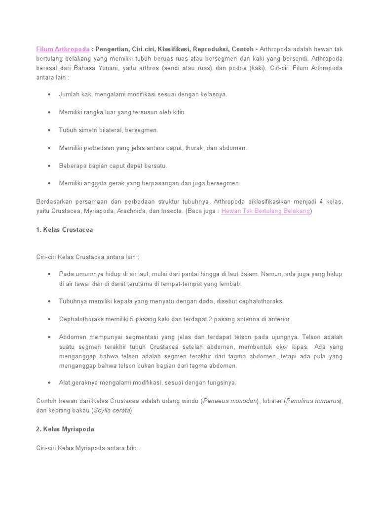 Filum Arthropoda | PDF