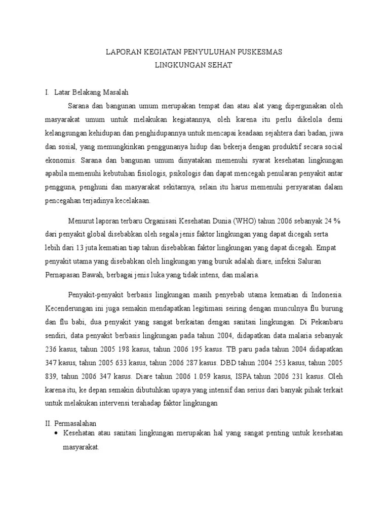 Lap Penyuluhan Kesehatan Lingkungan | PDF