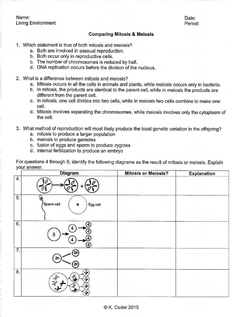 Paired nonsex chromosomes are, for practical purposes, identical in size, shape, and position and number of genes. Comparing Mitosis Meiosis Pdf