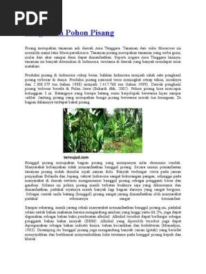 Pengertian Pohon Pisang | PDF