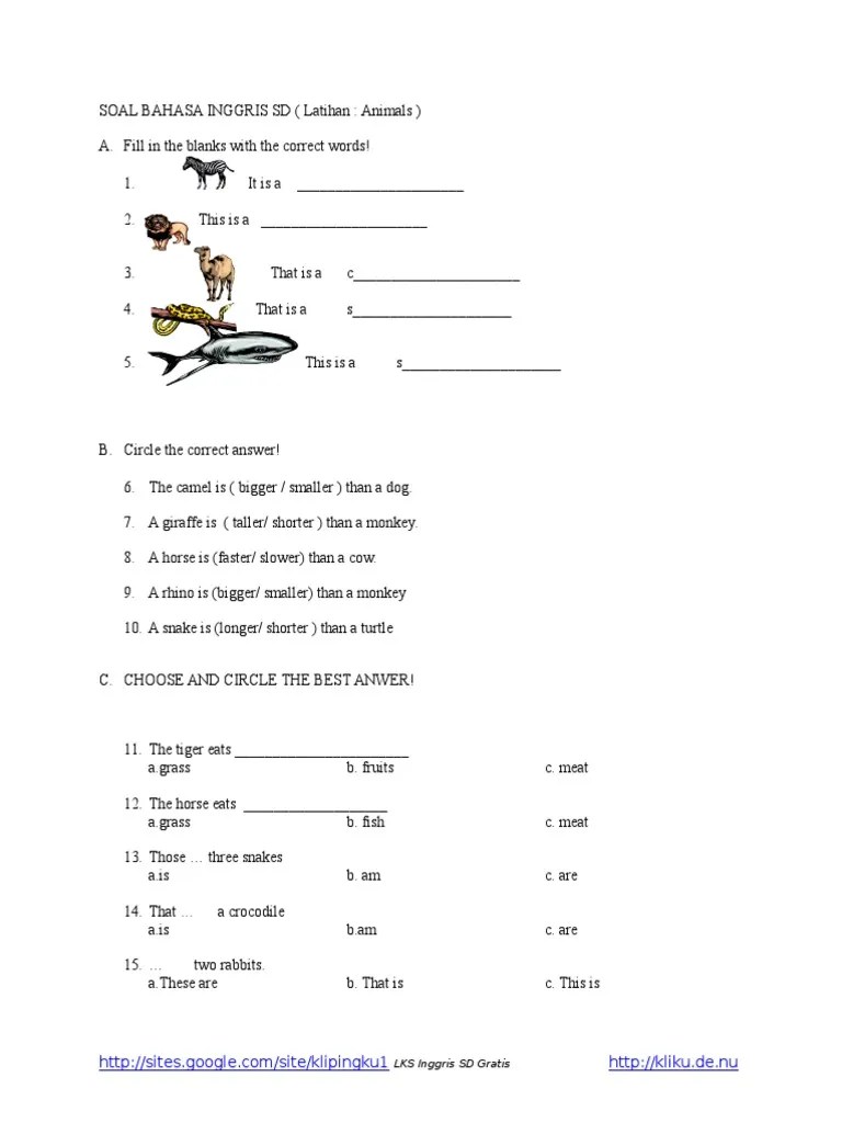 Soal bahasa inggris animal q6ng169y52nv. Soal Pilihan Ganda Bahasa Inggris Tentang Animal