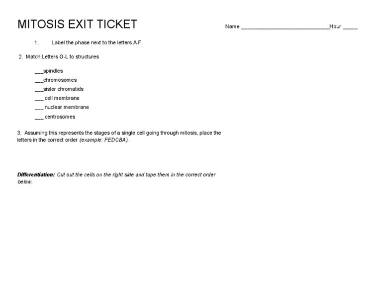 Take a look at these answers if you have completed the escaping the endless adolescence reading comprehension worksheet 1. Mitosis Exit Ticket Pdf