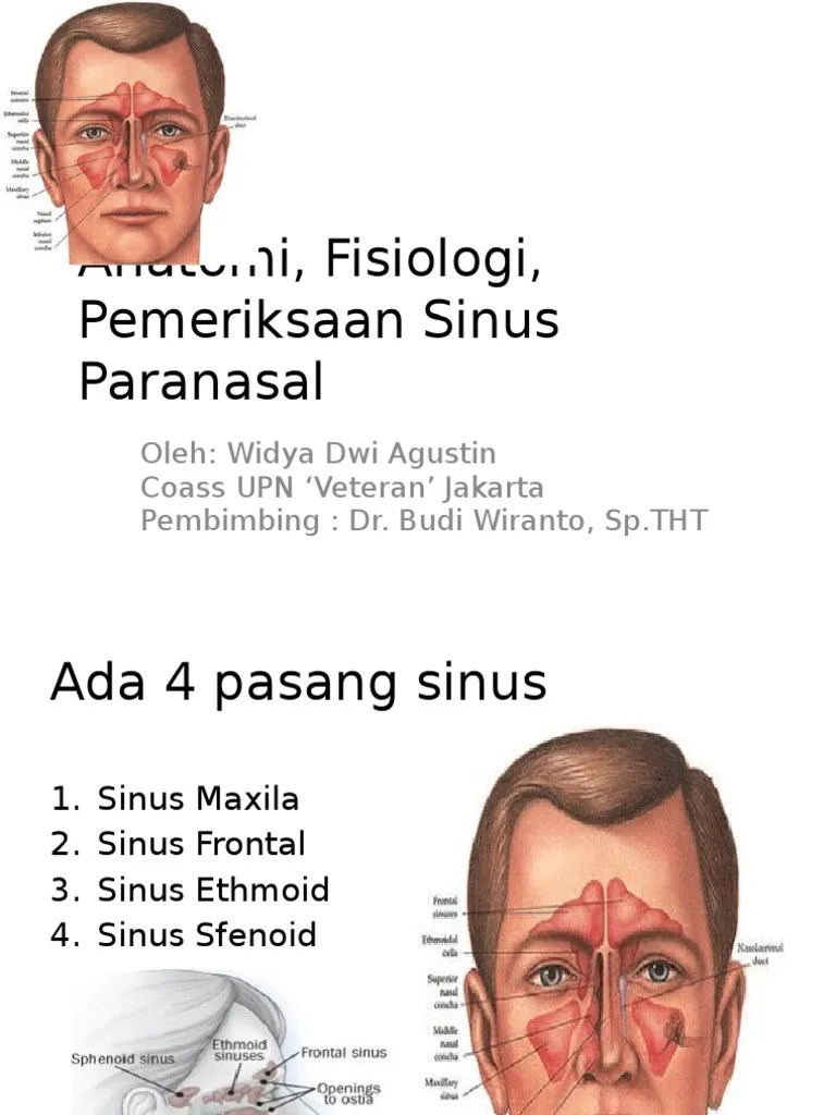 Anatomi, Fisiologi, Pemeriksaan Sinus Paranasal | PDF