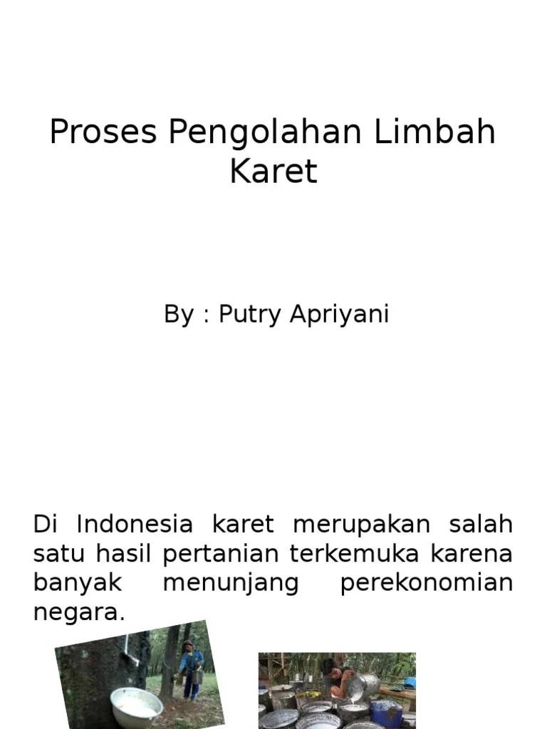 Proses Pengolahan Limbah Karet | PDF