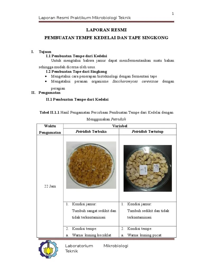 Laporan Praktikum Mikrobiologi Tempe Dan Tape | PDF