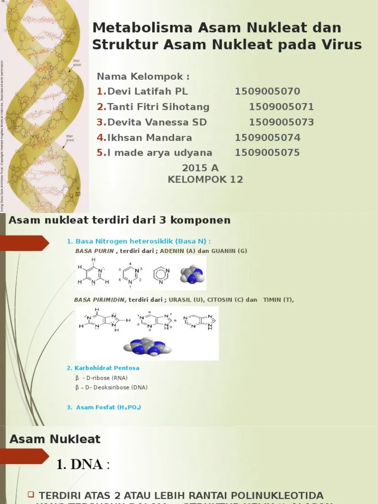 Metabolisme Asam Nukleat Dan Struktur Asam Nukleat Pada Virus | PDF