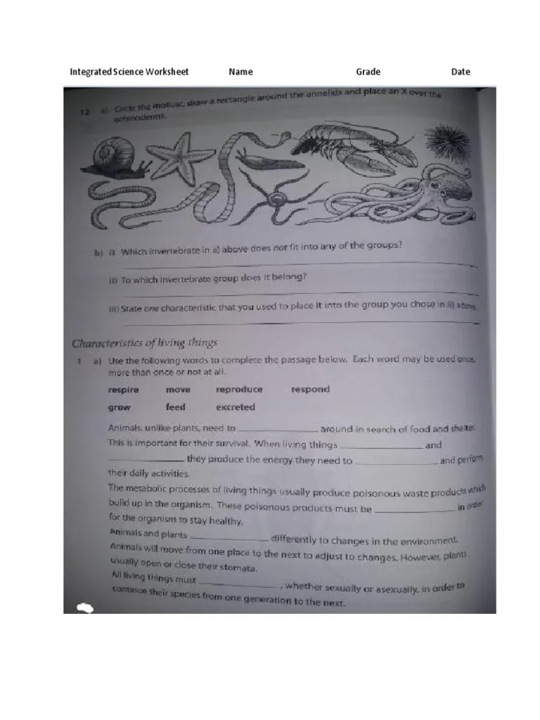 grade 7 integrated science worksheet