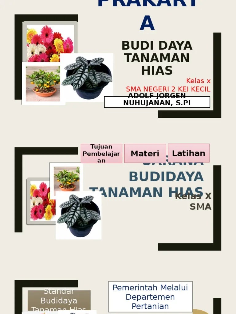 Sebutkan Dua Tipe Tempat Untuk Budidaya Tanaman Hias - Sebuah Tempat