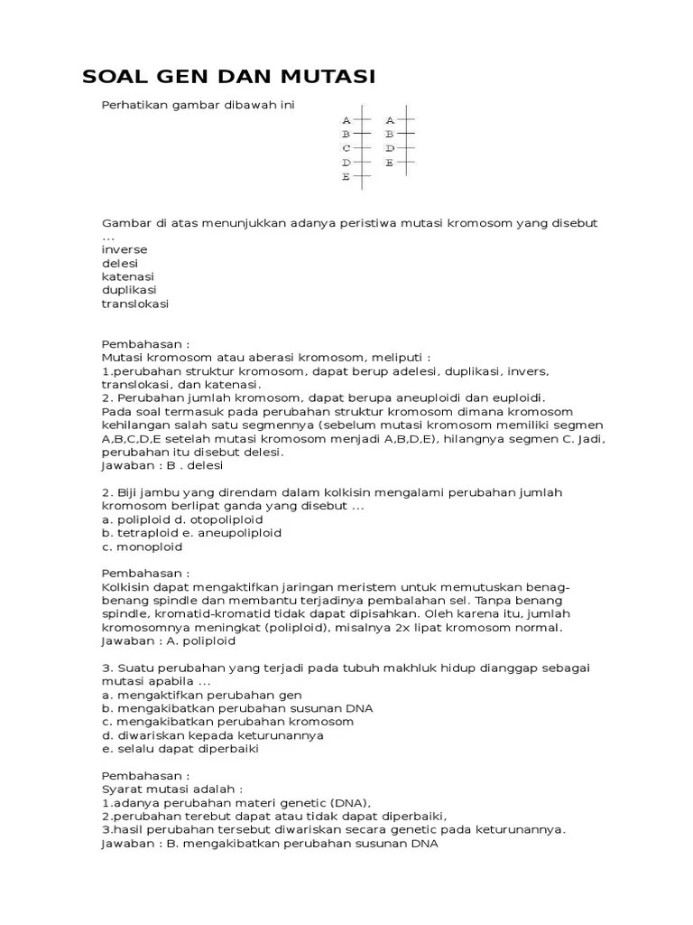 Soal biologi dan pembahasan tentang sintesis protein matapelajaran biologi itu mudah mudah sulit, he he. Soal Pembahasan Mutasi Gen Dan Kromosom Nasi